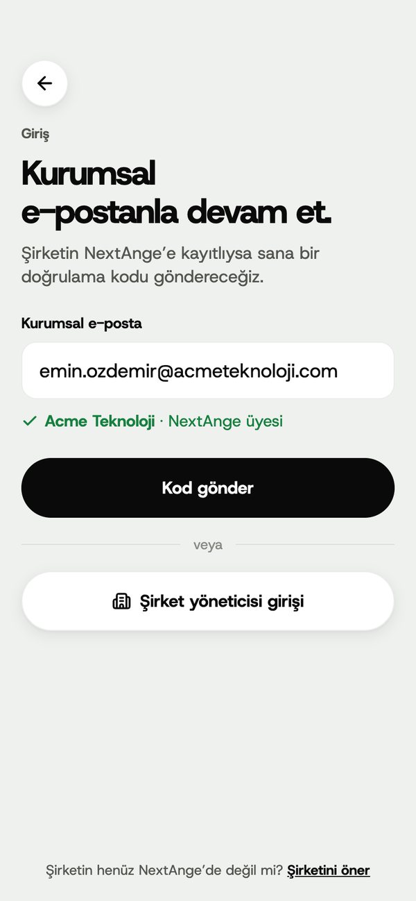 Kurumsal e-postayla giriş ekranı